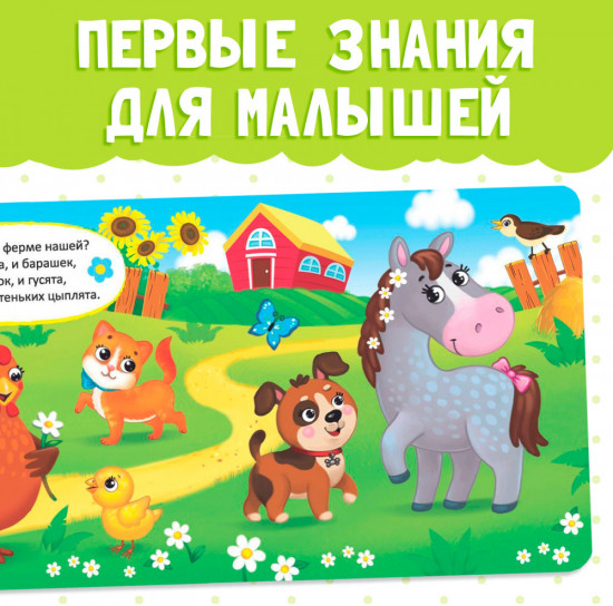 Животные со всего света