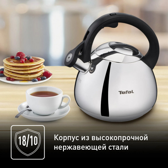 Чайник для плиты «Kettle»