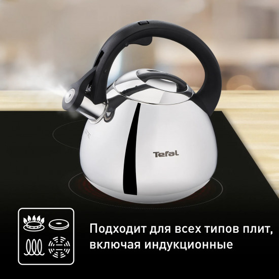 Чайник для плиты «Kettle»