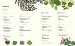 Выдающиеся растения,которые изменили нашу жизнь - Фото 1