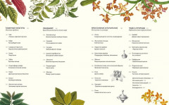 Выдающиеся растения,которые изменили нашу жизнь - Фото 2