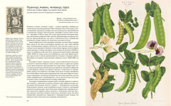 Выдающиеся растения,которые изменили нашу жизнь - Фото 3