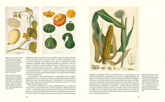 Выдающиеся растения,которые изменили нашу жизнь - Фото 5