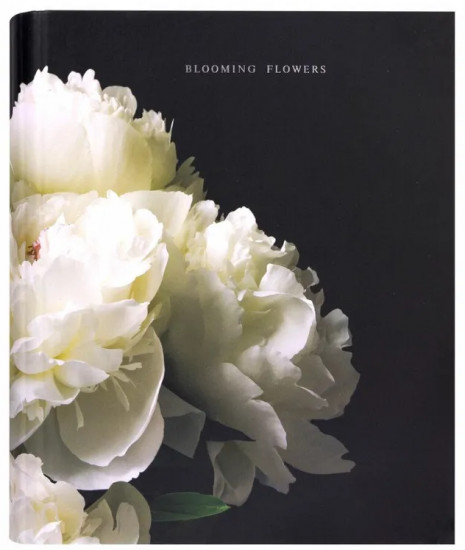 Тетрадь на кольцах «Bloom»