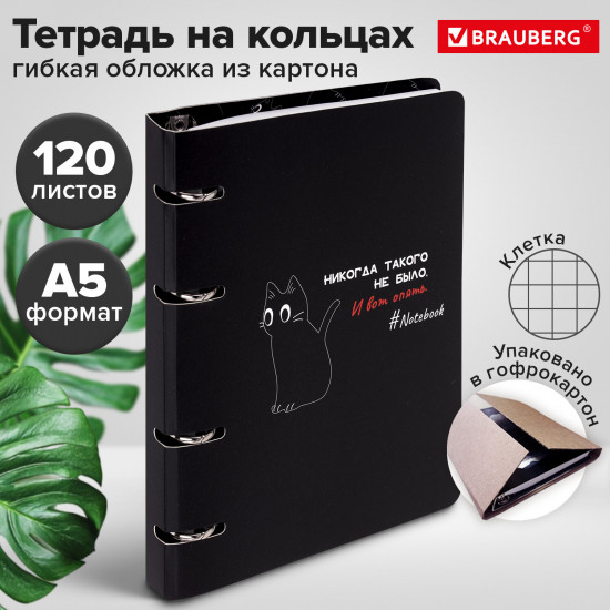 Тетрадь на кольцах «Просто Кот»