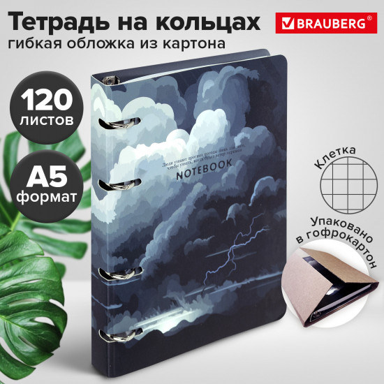 Тетрадь на кольцах «Clouds»