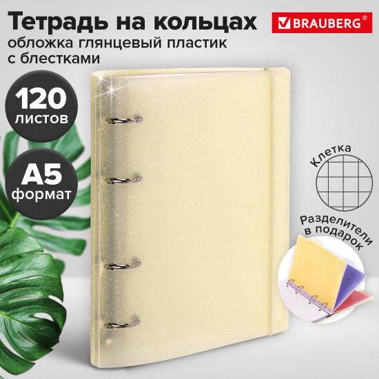 Тетрадь на кольцах с разделителями