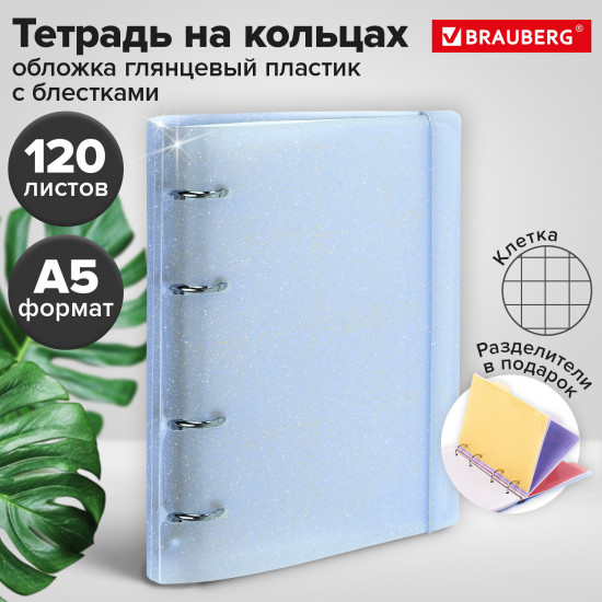 Тетрадь на кольцах с разделителями