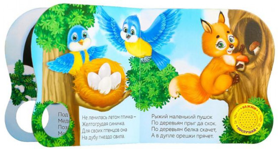 Есть у каждого свой дом. Музыкальная книга