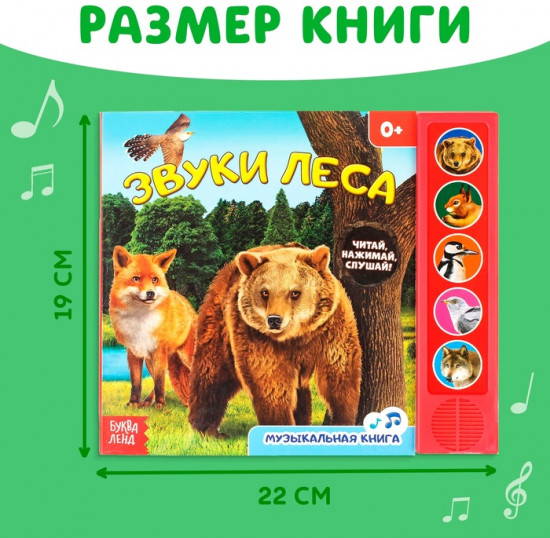 Звуки леса. Музыкальная книга