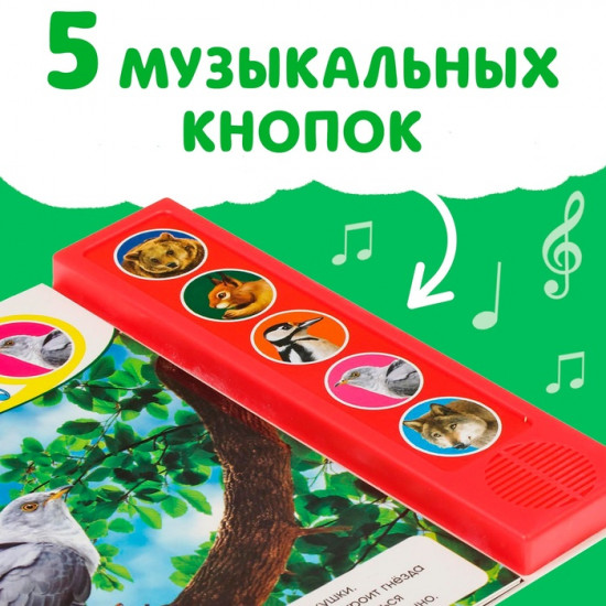 Звуки леса. Музыкальная книга
