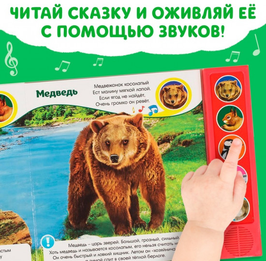 Звуки леса. Музыкальная книга
