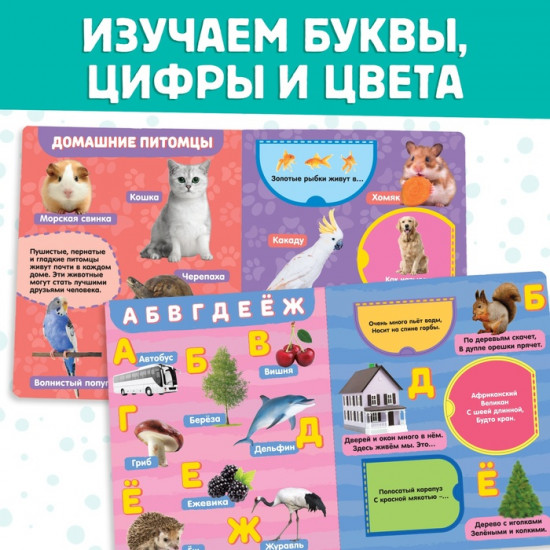 Набор книжек с окошками