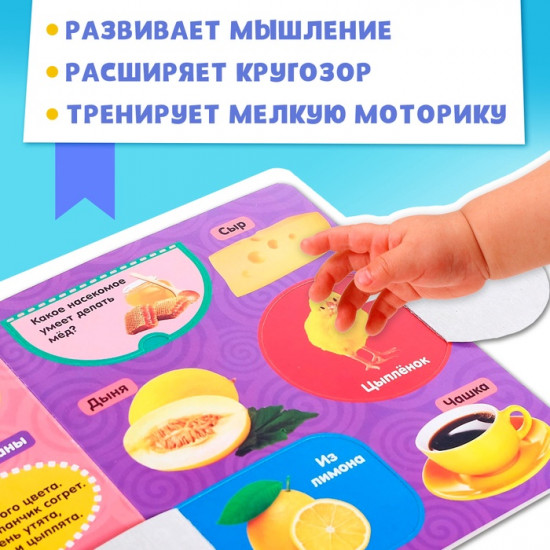 Книжка с окошками «Цвета»