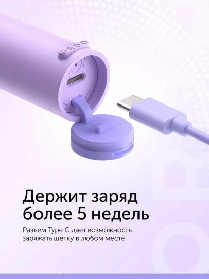 Зубная щетка электрическая Ordo Sonic Lite SL01