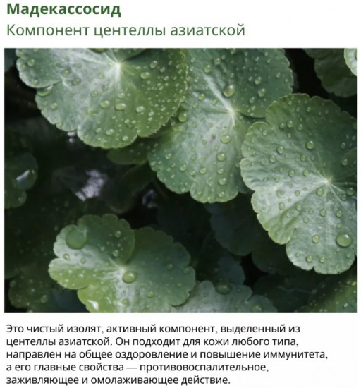 Пенка для умывания успокаивающая с полынью «Mugwort Calming Cleanser»