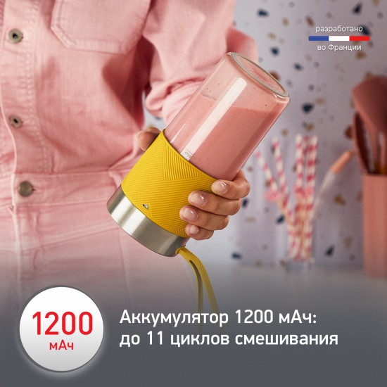 Блендер портативный Moulinex Lightmix LM1C0210