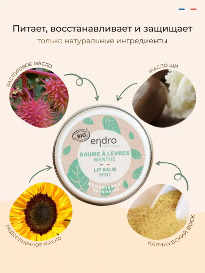 Бальзам для губ восстанавливающий с ментолом «Mint Lip Balm»