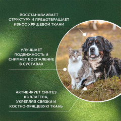 Кормовая добавка для здоровья суставов у собак и кошек «Arthro Protect» - Фото 4