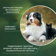 Кормовая добавка для собак и кошек «Multivitamin» - Фото 4