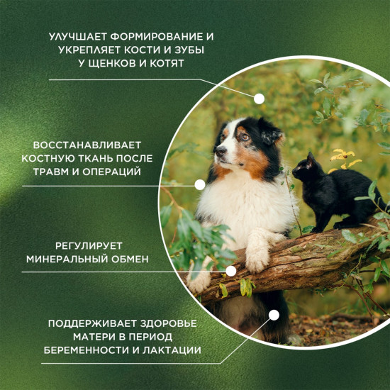 Кормовая добавка для здоровья зубов и ногтей у собак и кошек «Osteoplus»