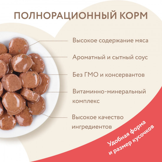 Корм для кошек «Кусочки в соусе с лососем»