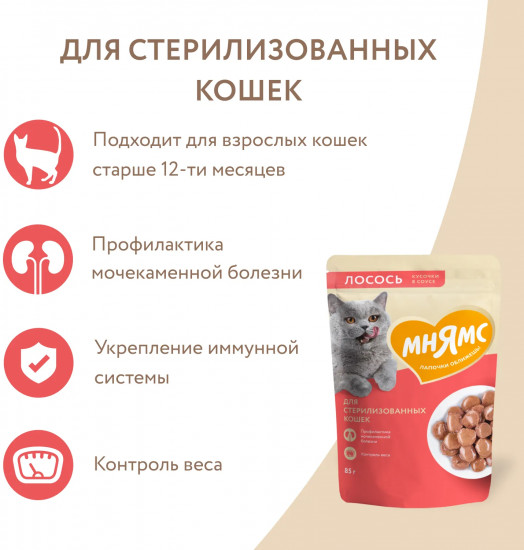 Корм для кошек «Кусочки в соусе с лососем»