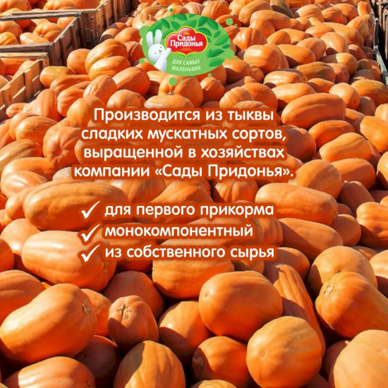 Нектар «Тыква с мякотью»