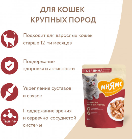 Корм для кошек «Кусочки в соусе с говядиной»
