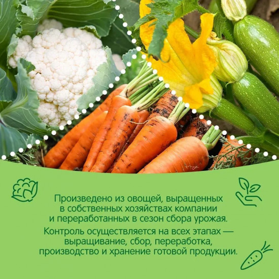 Пюре «Овощное рагу»