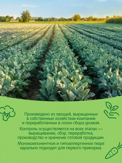 Пюре «Брокколи»