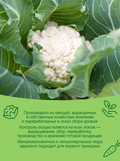 Пюре «Цветная капуста»