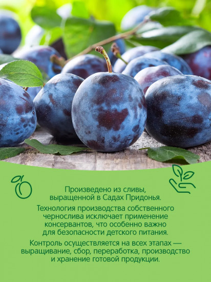 Пюре «Чернослив»
