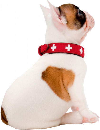 Ошейник для собак «Swiss»