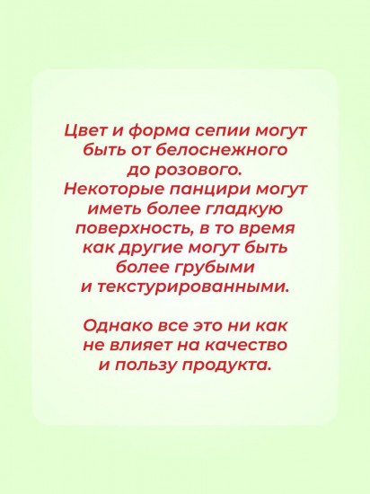 Лакомство для крупных попугаев «Панцирь каракатицы»