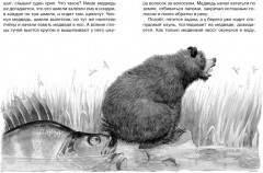 Кот-ворюга - Фото 4