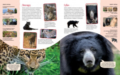 Яркий мир животных - Фото 2