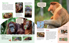 Яркий мир животных - Фото 3