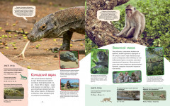 Яркий мир животных - Фото 4