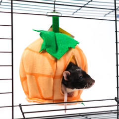 Домик для грызунов и хорьков «Тыковка» - Фото 4