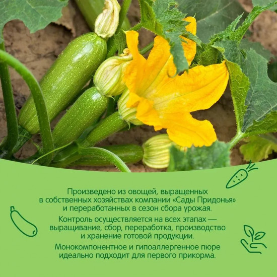 Пюре «Кабачок»