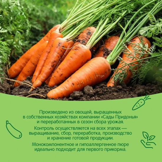 Пюре «Морковь»