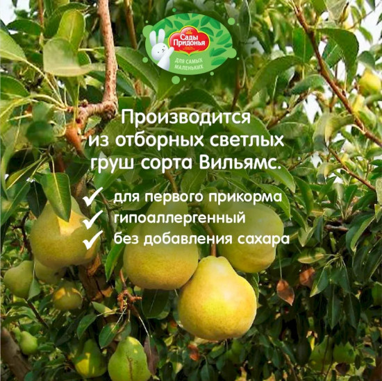 Сок осветлённый «Груша»