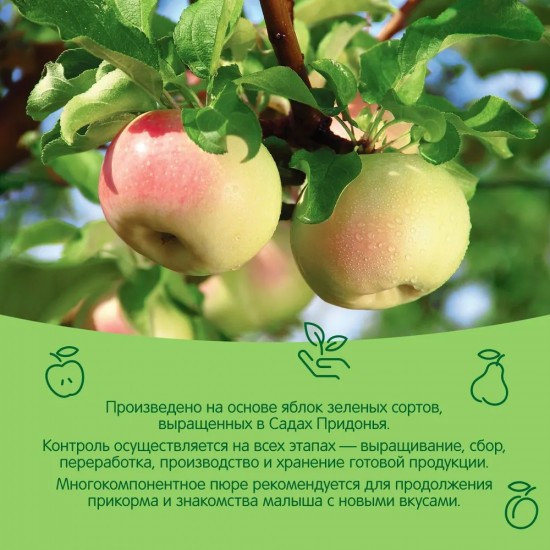 Пюре «Яблоко-груша-слива»