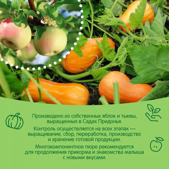 Пюре «Яблоко-тыква»