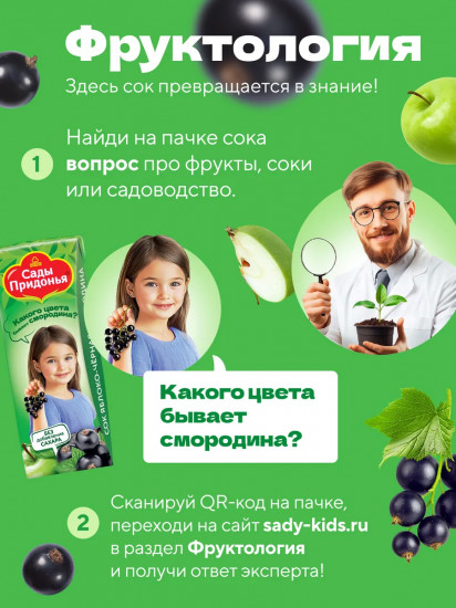 Сок осветлённый «Яблоко-чёрная смородина»