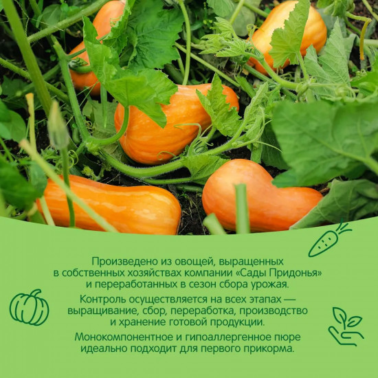 Пюре «Тыква»