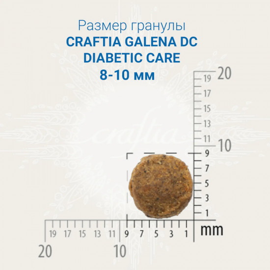 Сухой корм при диабете для кошек «Diabetic care»