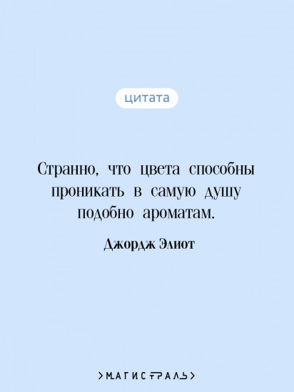 Мидлмарч