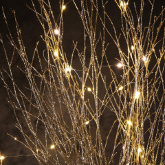 Фигура светодиодная «Ветви бежевые» - Фото 2